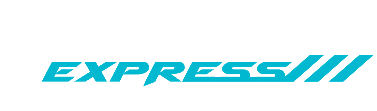 Cargo Express & Logistic